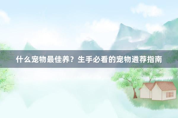 什么宠物最佳养？生手必看的宠物遴荐指南