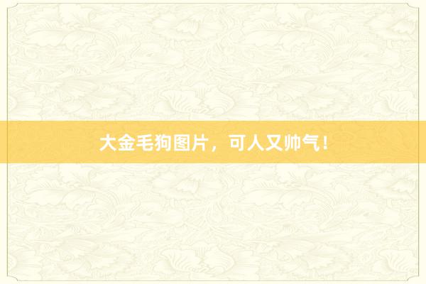 大金毛狗图片，可人又帅气！